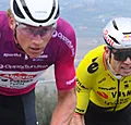 "Als Van der Poel meedoet…": Wielergoeroe benoemt probleem Van Aert