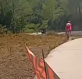 Nieuwe beelden akelig Pogacar-moment duiken op