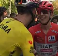 Pogacar komt met bekentenis na pijnlijk Van Aert-moment
