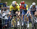 Vannieuwkerke en De Cauwer hebben duidelijk advies voor Van Aert