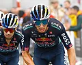 Lipowitz vertelt over verhoudingen tussen hem en Roglic voor Tour