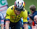 Ex-renner is zeker: dit liep er fout bij Van Aert in Bos van Wallers