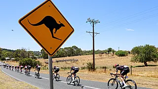 Ploeggenoot Van Aert breekt sleutelbeen door… kangoeroe
