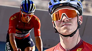 'Bizarre oorzaak uppercut Evenepoel gevonden'