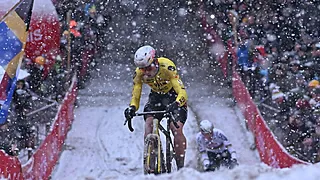 Toon Aerts kent oorzaak van de valpartij van Wout Van Aert