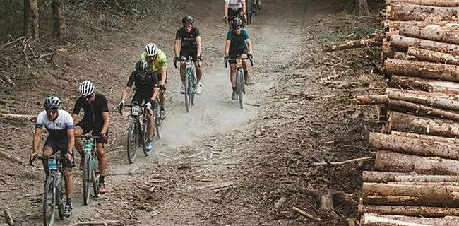 Vlaanderen wordt in 2024 gastheer van WK gravelrace