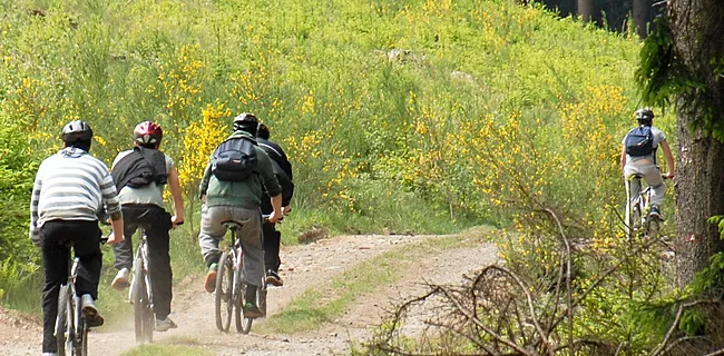 6 fietsbestemmingen dicht bij huis voor snelle hoogtemeters