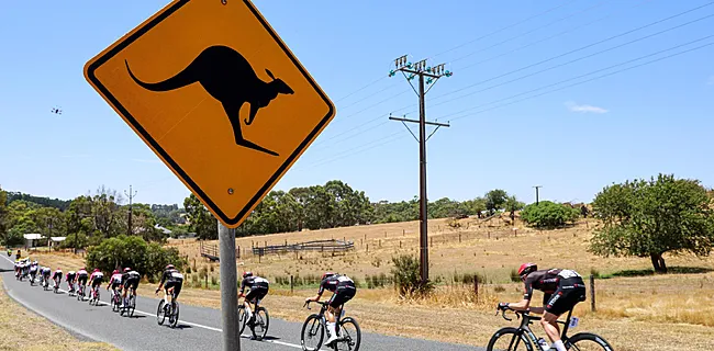 Ploeggenoot Van Aert breekt sleutelbeen door… kangoeroe