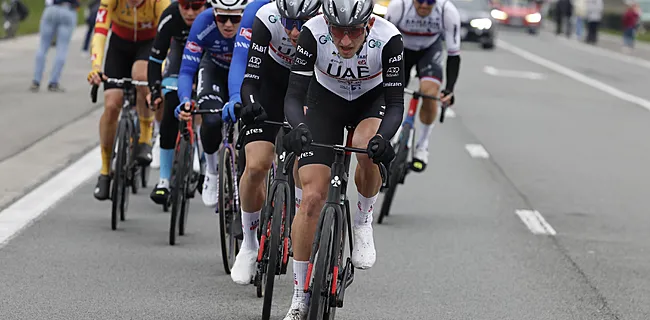 🎥 Gigantische crash in peloton, Van Aert en andere favorieten betrokken