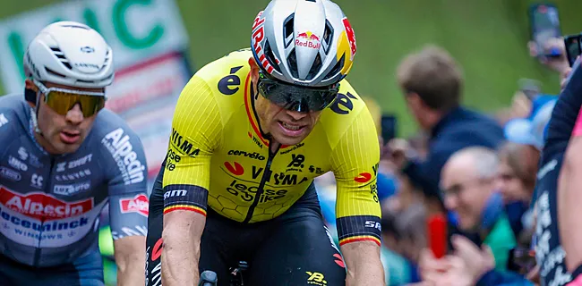 Ex-renner is zeker: dit liep er fout bij Van Aert in Bos van Wallers