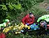 Update over Italiaan Martinelli na horrorval in Giro