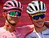 Roglic lacht al in zijn vuistje: nieuwe clash der ego’s bij UAE?