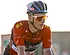 Reden van inzinking Remco Evenepoel lijkt bekend