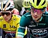 Roglic krabbelt terug na uitspraak over Evenepoel: "Daarom zei ik dat"