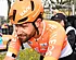 Van Aert zege ontnomen? Ganna bestraft na Dwars door Vlaanderen