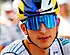 Lipowitz heeft klinkklare boodschap voor Remco Evenepoel