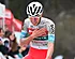 Klimtalent uit school Contador op weg naar Visma Lease a bike