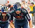 Lipowitz vertelt over verhoudingen tussen hem en Roglic voor Tour