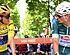 Analist legt duidelijk verschil bloot tussen Evenepoel en Van Der Poel