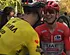Pogacar komt met bekentenis na pijnlijk Van Aert-moment