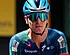 'Ware reden opgave Tim Merlier in Tour onthuld'