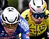 Wout van Aert moet wat toegeven over gedrag Van der Poel