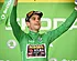 Puntentelling bekend: Gaat Wout van Aert voor groen in Tour?
