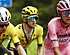 Del Toro: "Ik feliciteerde Van Aert voor de finish"