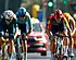 Van Aert en Nys krijgen uitstekend nieuws en kunnen opgelucht ademhalen