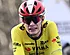 Vingegaard miste de overwinning van Van Aert: dit is de reden
